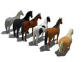 All Horses